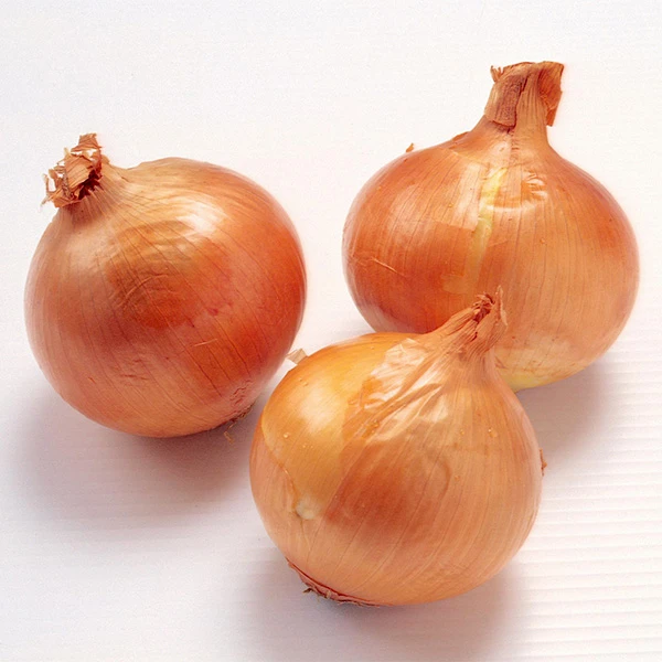Frisk Orgnic 20kg Ippakkjar Basla Isfar